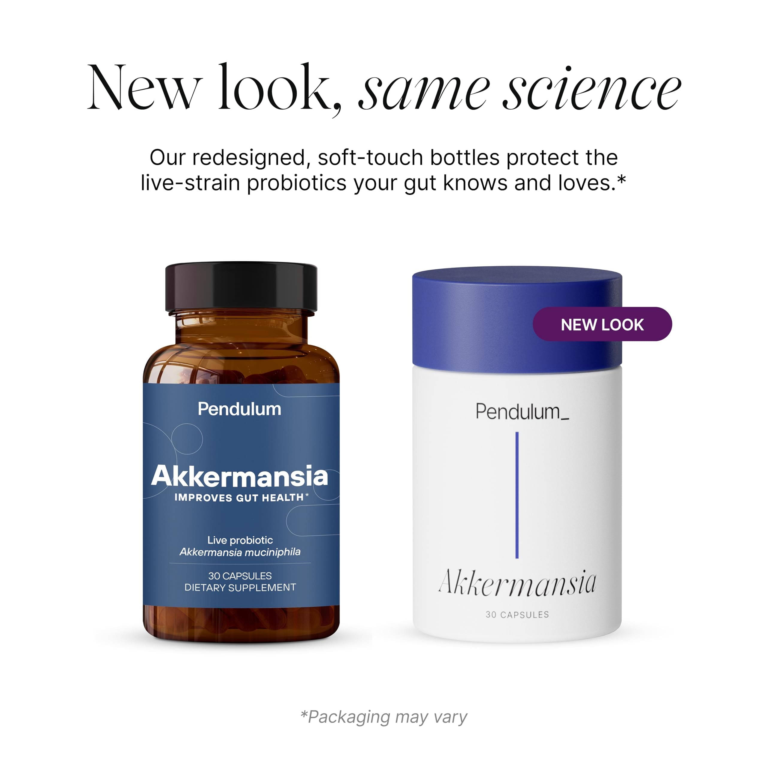 Pendulum Akkermansia